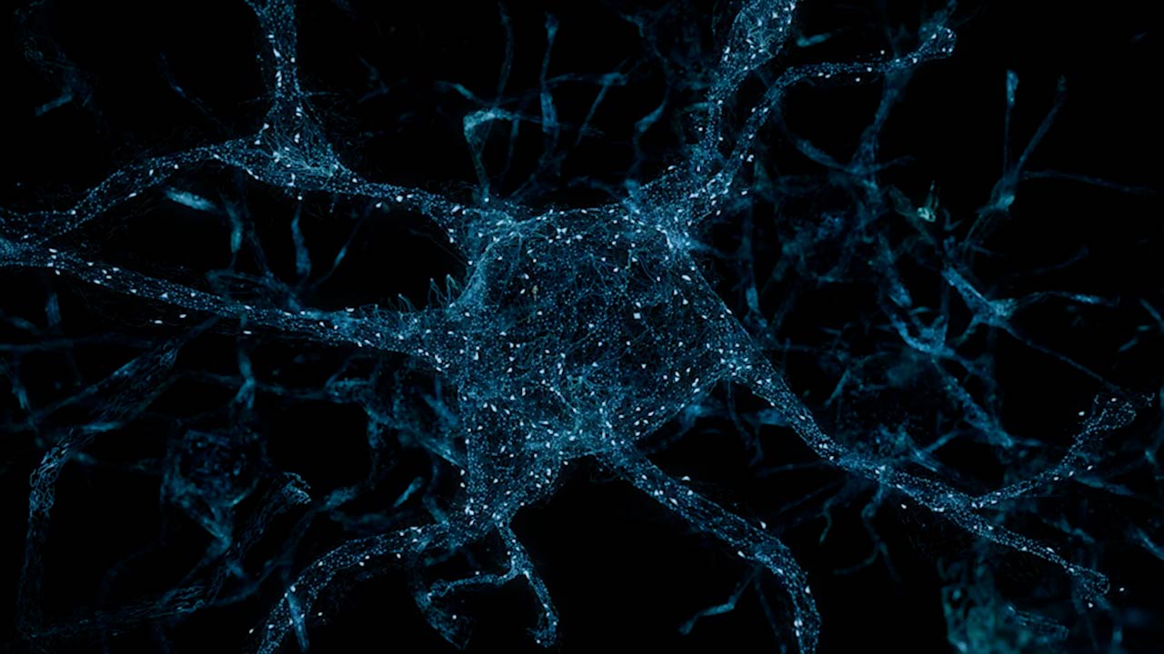 Scroll animation frame